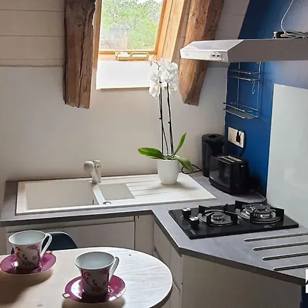 Le Gros Chêne, Du Xviii Siècle, Jacuzzi Privatif *